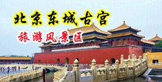 操插视频中国北京-东城古宫旅游风景区